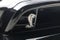 2013 Ford Shelby GT500 Shelby GT500