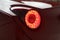 2014 Ferrari California 30